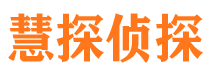 龙胜调查公司